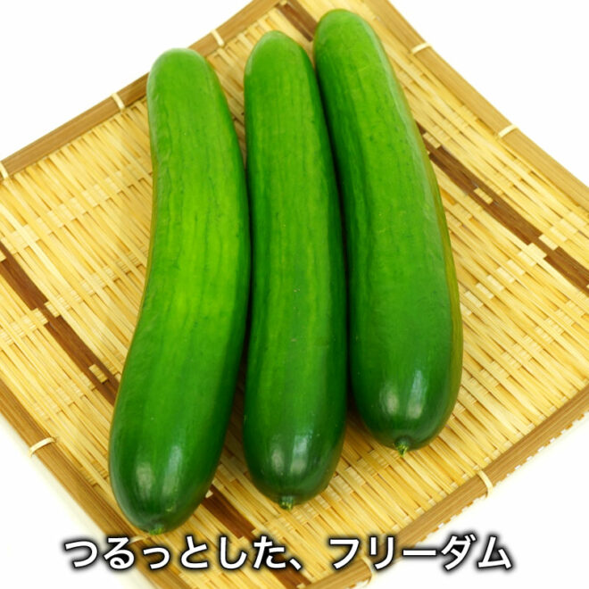 新鮮生野菜 低農薬 天然由来の肥料 大阪のきゅうり トマト 大畑大介商店