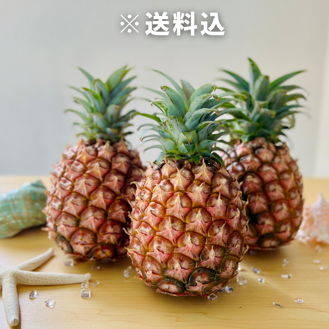 ピーチパイン約2kg（3個）｜希少な国産パイナップル（5月中旬～6月末 