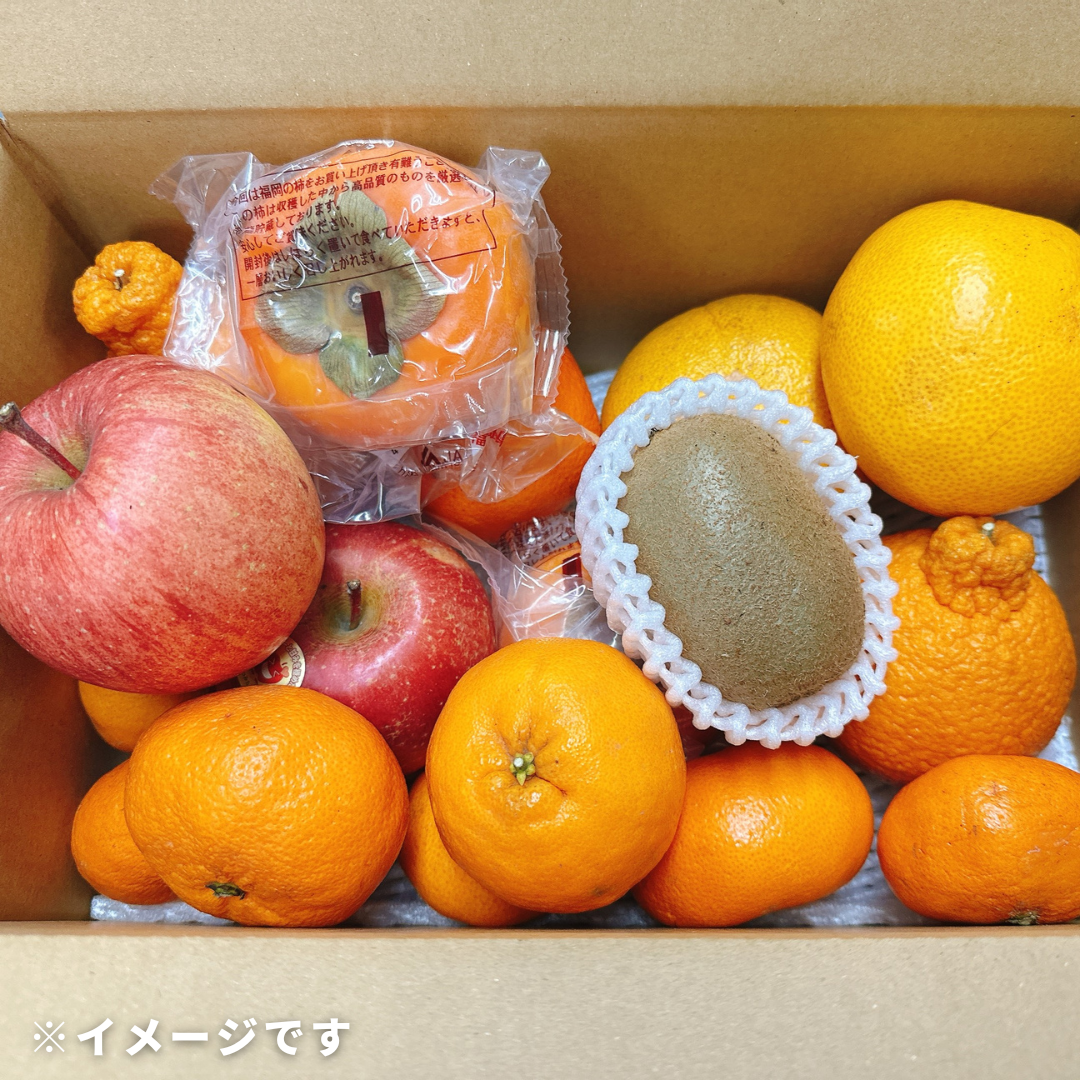 訳あり国産フルーツ詰め合わせ 約3kg｜早春限定・大阪中央卸売市場直送 