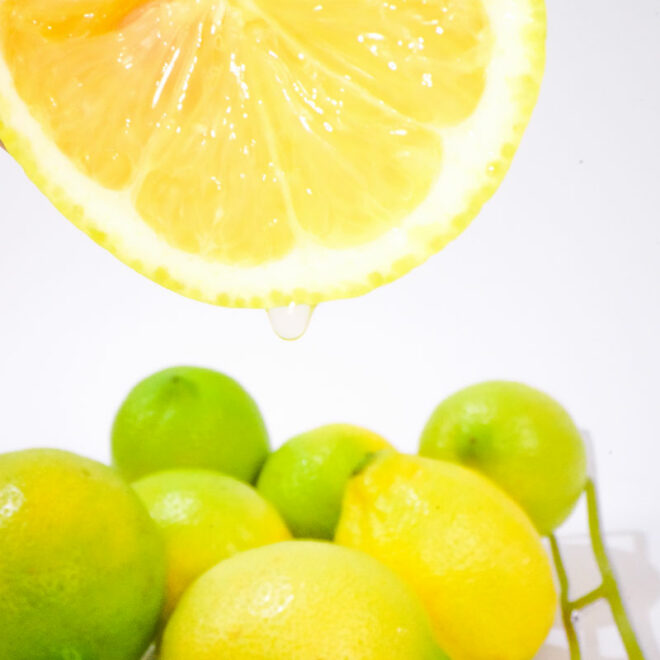 和歌山の柑橘特集 特徴や食べ方解説 国産低農薬レモン 木成り八朔 清見オレンジ 津之望 大畑大介商店