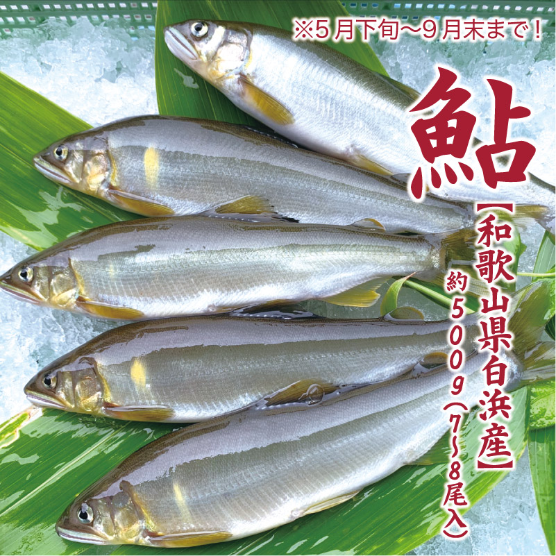 ［ 天然鮎 和歌山熊野川］新物 鮎 28匹セット 天然あゆ 16㎝～18㎝ 1，080ｇ 水質日本一常連の清流 高津川 天然あゆ 500g天然鮎 500g 魚貝類 魚
