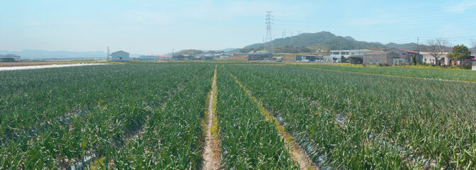 おすすめの食材5選