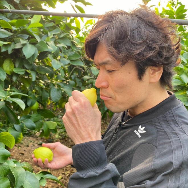 レモンを収穫して香りを嗅ぐ大畑大介
