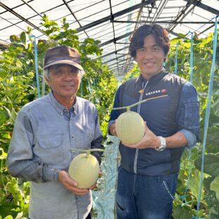 【熊本県宇土市】まいひめおじさんのメロン　化粧箱入り1玉（２L、３L）※10月下旬～11月初旬