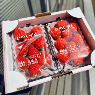 【大阪中央卸売市場から】＜訳あり>熊本県産ひのしずく（いちご） フードロス削減に貢献！