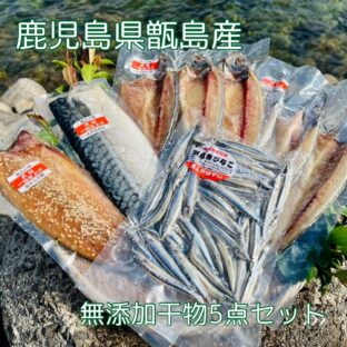 【鹿児島県甑島】きびなご塩干入り 国産無添加干物5点セット