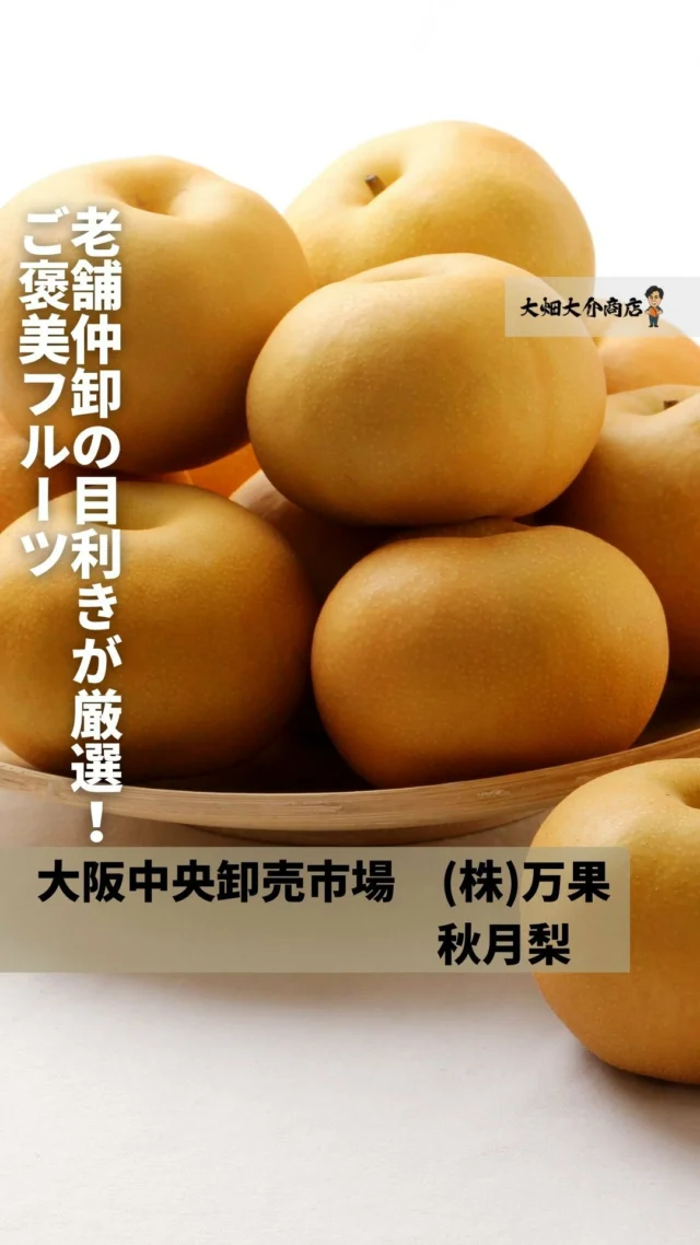 なす ターキッシュオレンジなす（ジロ）の種 - マルシェ青空