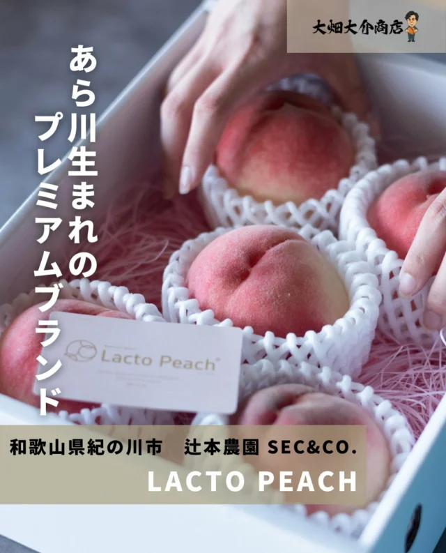 宮崎県産 完熟マンゴー 2L×2玉 手作業ネット栽培｜ギフトにおすすめ