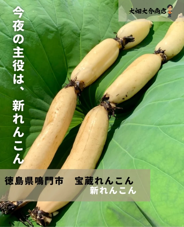蓮の実（生）はどんな味？食べ方は？見た目が気持ち悪い！？※閲覧注意