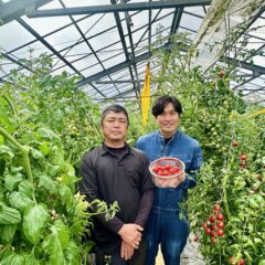 いちごトマト、今季の販売が終了しました