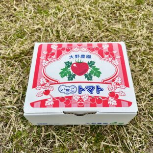 大野農園「いちごトマト」 約1kg｜徳島県阿波市（～4月中旬）