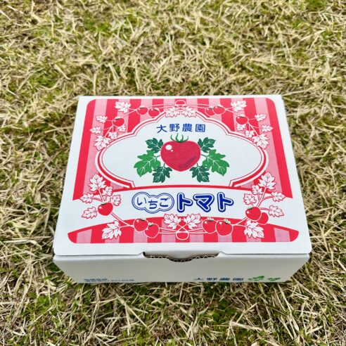 大野農園「いちごトマト」 約1kg｜徳島県阿波市（～4月中旬）
