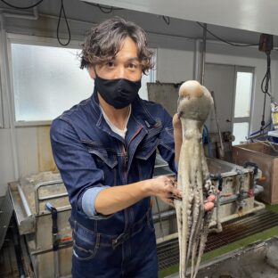 タコの足先は食べれないの？タコは恋をすると死ぬって本当？｜明日使えるタコの豆知識