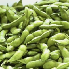 だだちゃ豆って何？枝豆とは違うの？旬はいつ？