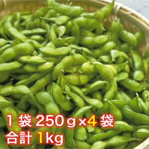 ※7月末〜9月上旬まで！【山形県鶴岡市】だだちゃ豆1kg（1袋250g×4袋）