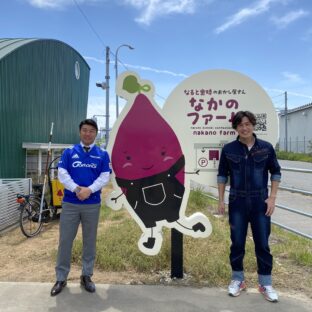 手作りスイーツお取寄せ｜なると金時のスイートポテトとジェラート｜とくしま厳選ブランド