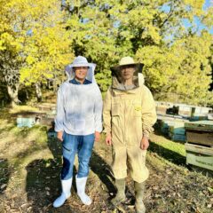 【はちみつ選びのポイント】はちみつの栄養や効果について｜おすすめの国産はちみつ