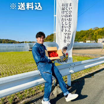 【熊本県宇土市】プレミアムトマトまいひめ物語「にぎわい箱（バラ）」約２㎏　※1～6月下旬