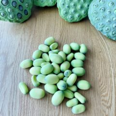 蓮の実（生）はどんな味？食べ方は？見た目が気持ち悪い！？※閲覧注意　