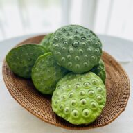 ※8月上旬〜8月中旬【徳島県鳴門市】生ハスの実（蓮台付き・軸なし）