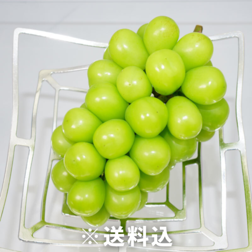 【岡山県岡山市】西崎農園のシャインマスカット　 1房（約700g）※7月上旬〜8月下旬