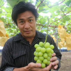 シャインマスカット｜岡山産｜贈答にも！人気の高級フルーツ