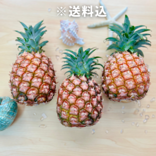 【沖縄県八重山郡（西表島）】ピーチパイン4kg　希少種・国産パイナップル（減農薬）※5月中旬～6月末