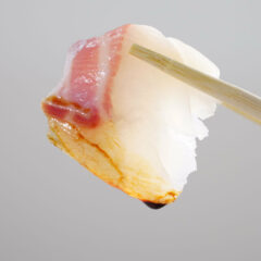 活〆鯛の刺身　『龍馬鯛』がサクで届く！産地直送お取り寄せ