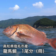 【高知県宿毛市】龍馬鯛（タイ）1尾分　2冊（約450g）