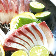 【高知県宿毛市】龍馬鰤（ブリ）片身分　2柵（約850g）