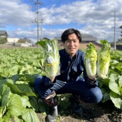 ミニ白菜の特徴3選！　小さな白菜『ミルフィ〜菜』旬はいつ？おすすめの食べ方は？