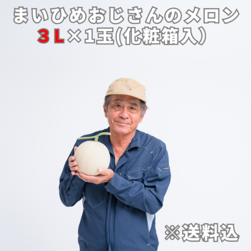 【熊本県宇土市】まいひめおじさんのメロン　化粧箱入り1玉（３L）※9月上～下旬