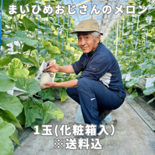 【熊本県宇土市】まいひめおじさんのメロン　化粧箱入り1玉（２L、３L）※8月上～中旬、9月上～下旬