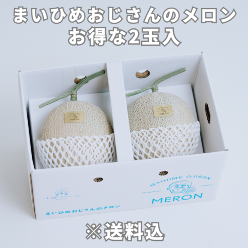 ※8月6日～8月13日【熊本県宇土市】お得！まいひめおじさんのメロン2玉セット（２L、３L）