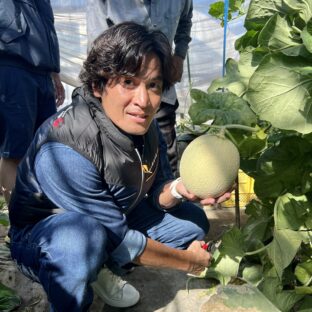 美味しい完熟メロンの見分け方　メロンの食べ頃のサインは？メロンは追熟する？
