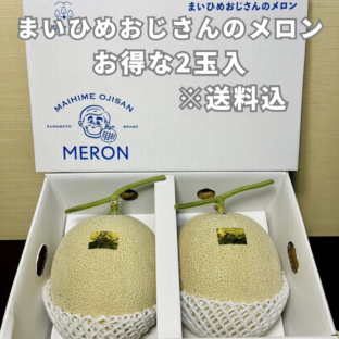 【熊本県宇土市】お得！まいひめおじさんのメロン2玉セット（２L、３L） ※8月上～中旬、9月上～下旬