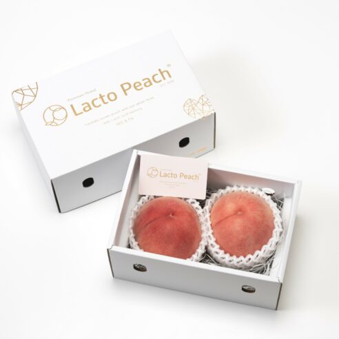 【和歌山県紀の川市桃山町】Lacto Peach（ラクトピーチ）2玉　乳酸菌で甘さを追求したプレミアムな桃　※7月