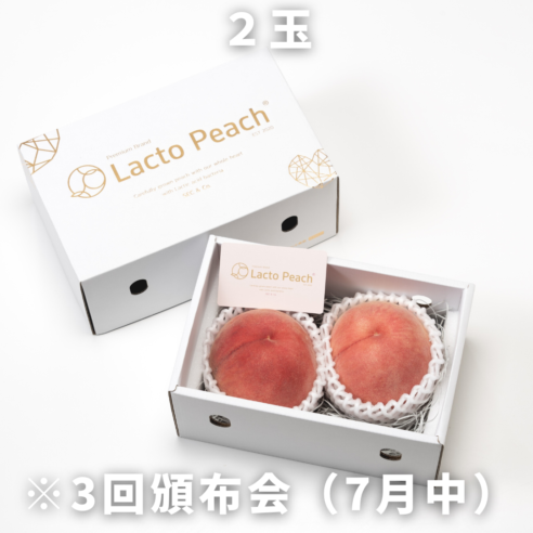 7月3回頒布会【和歌山県紀の川市桃山町】品種違いでLacto Peach(ラクトピーチ）2玉×3回お届け　※7月中