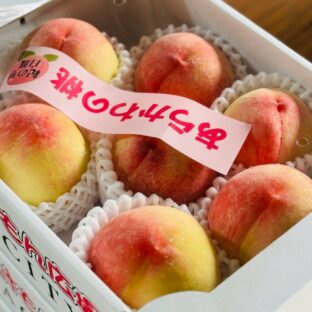 【和歌山県紀の川市桃山町】FARMER'S FARMER あら川の桃 約２kg ※6月中旬～8月上旬