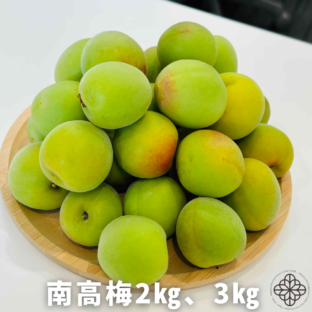 朝採り南高梅（青梅）約1kg｜LLサイズ以上・秀品｜WARIE 和歌山県