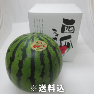 【大阪中央卸売市場から】農林水産大臣賞受賞　羅皇ザ・スウィート　２L（約7㎏）※5月上旬～6月上旬