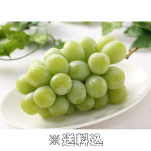 【大阪中央卸売市場から】＜正品＞シャインマスカット（１房　約450g）※９月末～１１月上旬