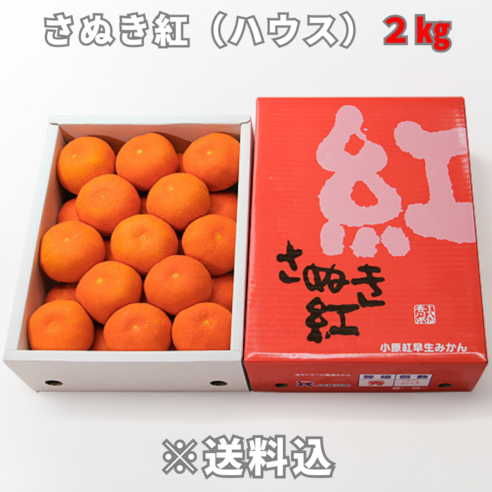 【大阪中央卸売市場から】＜正品＞さぬき紅（ハウスみかん）約2㎏