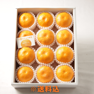 【大阪中央卸売市場から】＜正品＞佐賀県産にじゅうまる 約3kg／5kg　※2月下旬～3月下旬