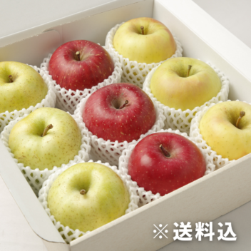 【大阪中央卸売市場から】＜正品＞旬のりんご3種食べ比べ 約2.5㎏　※11月中旬～12月中旬