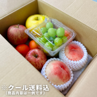 【大阪中央卸売市場から】＜訳あり＞夏の国産フルーツ約2.5kg（クール便配送）