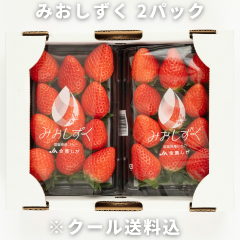 滋賀県産みおしずく（いちご）2パック｜大阪中央卸売市場直送（正品/クール送料込）※3月下旬～4月上旬