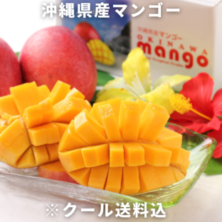 沖縄県産 マンゴー（約320g×2玉）｜ギフトにもおすすめ｜大阪中央卸売市場 ※7月中旬～8月上旬