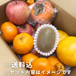 【大阪中央卸売市場から】＜訳あり＞早春の国産フルーツ約3kg フードロス削減に貢献！