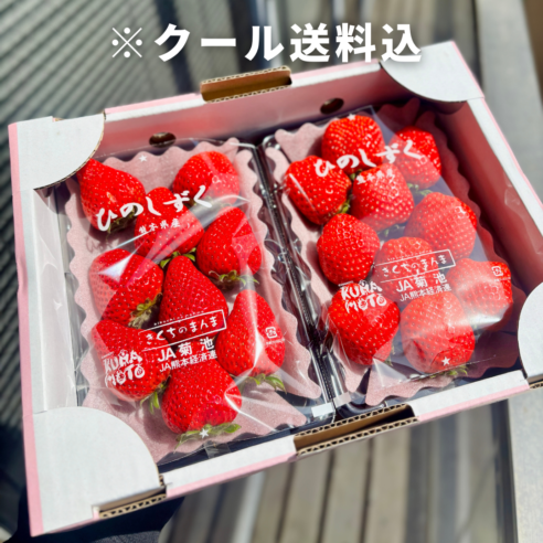 【大阪中央卸売市場から】＜ご家庭用>熊本県産ひのしずく（いちご） 2パック/4パック　フードロス削減に貢献！